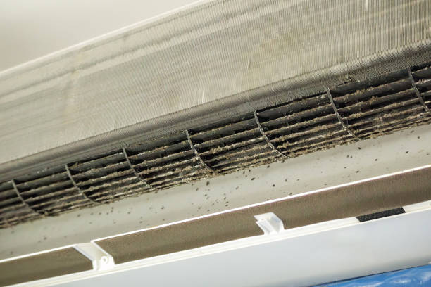 Best Best Air Duct Cleaning Company  in Monfort Heights, OH
