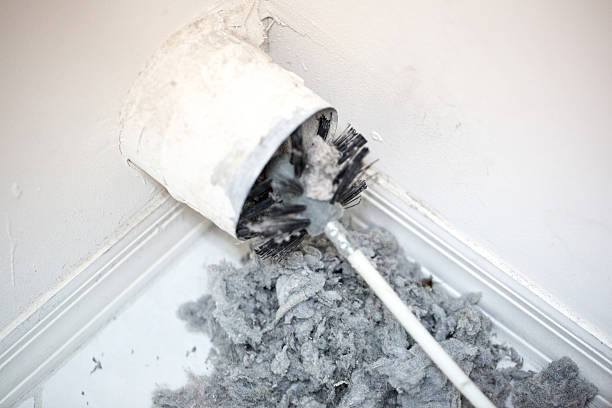 Best Air Duct Mold Removal  in Monfort Heights, OH